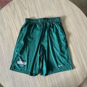 Nike Dri-Fit Shorts